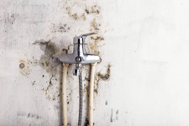 Water Damage Restoration in Mount Gay Shamrock, WV